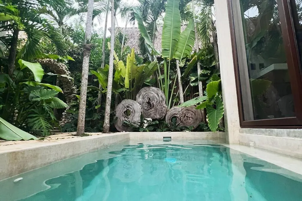 Jungle Oasis - Villa With Private Pool location